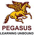 Pegasus Learning Unbound